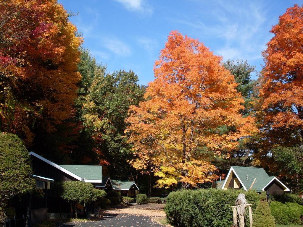 Amber Lantern Efficiency Cottage Lake George Bagian luar foto